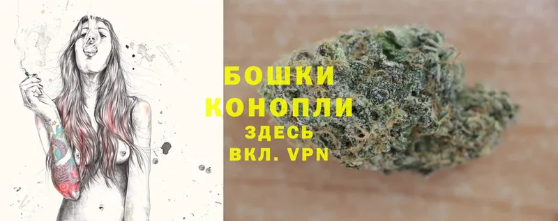 МАРИХУАНА OG Kush  купить наркоту  Камышлов 